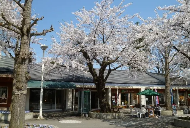 【花巻温泉】温泉漬けのラブラブコース