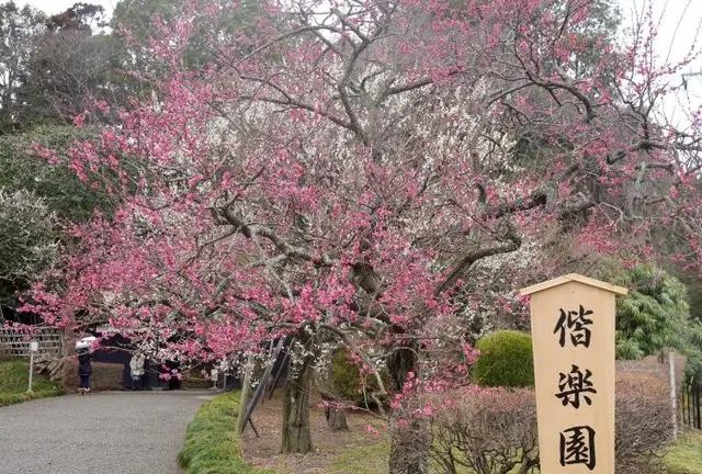 水戸