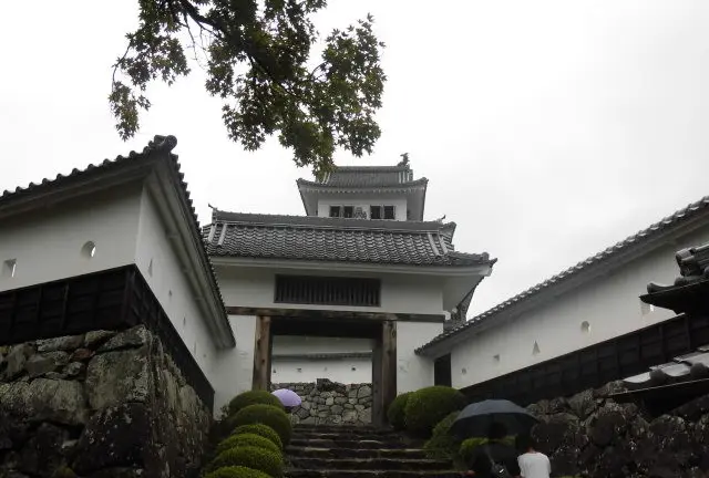 食品サンプル発祥の郡上八幡。郡上八幡城から眺める城下町