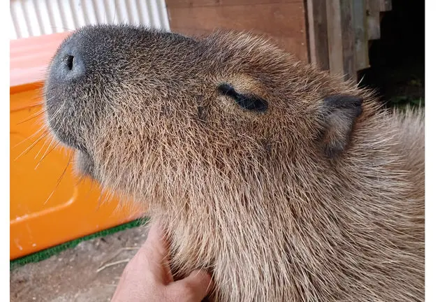 石垣島北部ドライブ