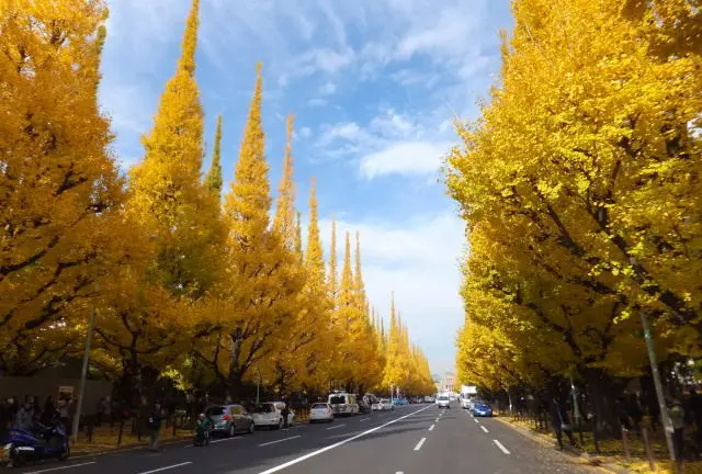 【早起きは三文の徳】渋谷青山エリア朝活スポット~恋人編~