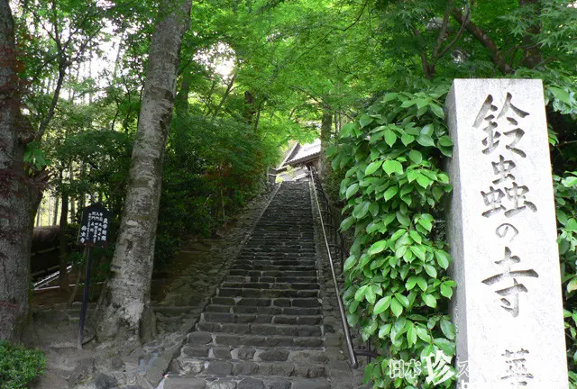 初めて京都にくる人にオススメする定番とちょっとデープな旅(笑) 西エリア編