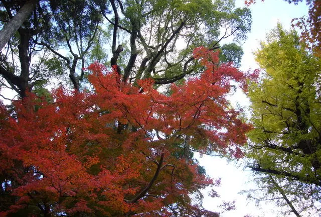 人の多いところに行くのであれば‥。