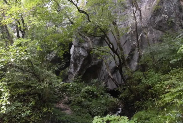 え？ワニって美味しいの？自然美しい帝釈峡に遊びに行こう！
