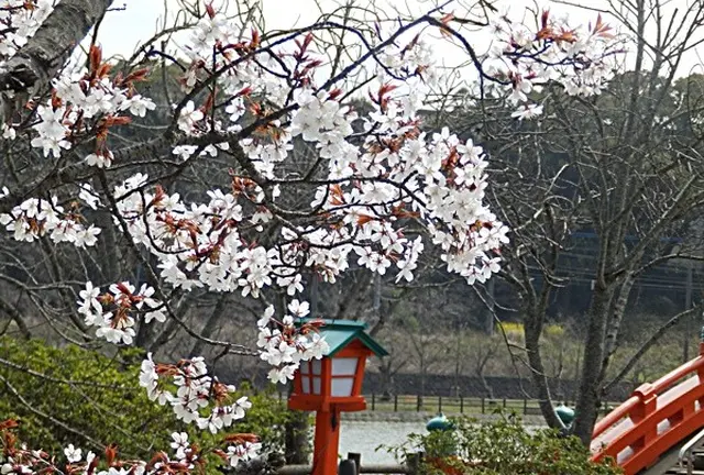 【中間市】レンタサイクルで巡る