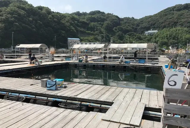 手ぶらでいこう!!姫路市家島の釣堀スポット