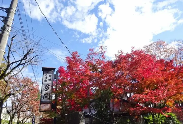 【深大寺】ちょっぴり観光