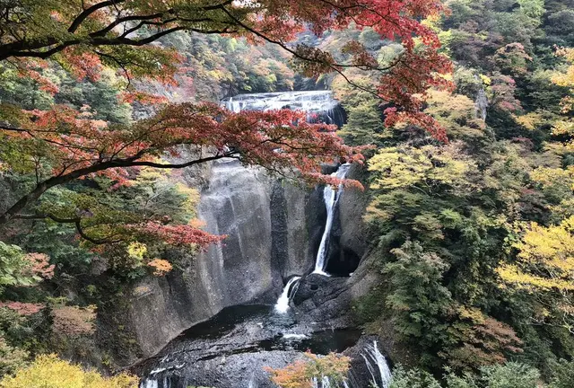 日帰りで紅葉と温泉を満喫