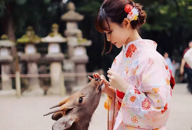 ならまちを遊びつくせプラン