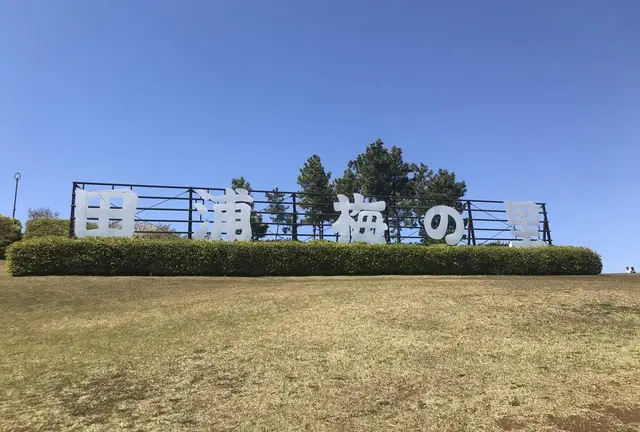 【横須賀】午後から散歩プラン