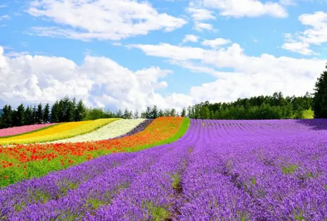 絶景HOKKAIDO