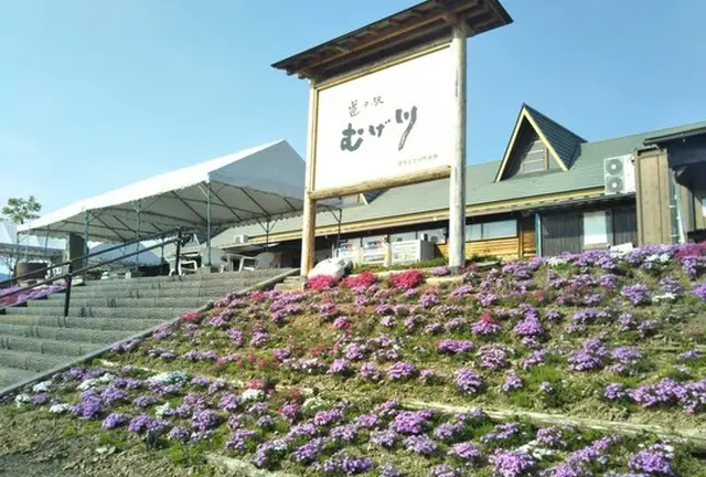 道の駅-岐阜/滋賀/三重/愛知-1day