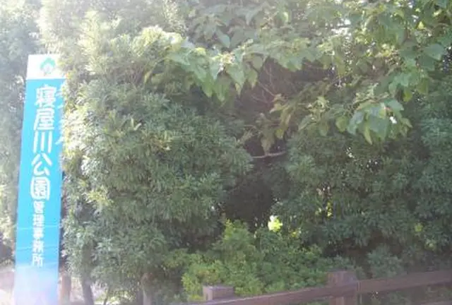 寝屋川公園で楽しむ家族時間