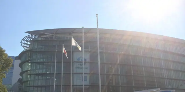 "子供が主役"お台場の小学生の遊び場はこちらです！