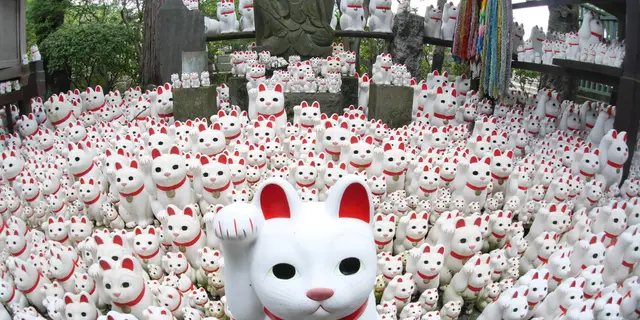 ［豪徳寺～松陰神社］世田谷線初心者が行く！  Holidayを参考に世田谷散歩ｗ