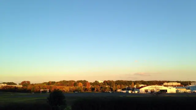 東京ピクニック-武蔵野でのんびり過ごす編-