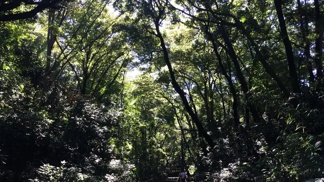 都心で自然を満喫できるスポット