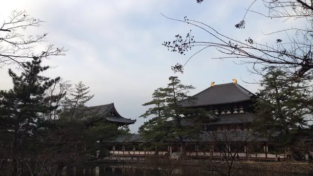 元旦は奈良で!スペシャルな初詣プラン♪