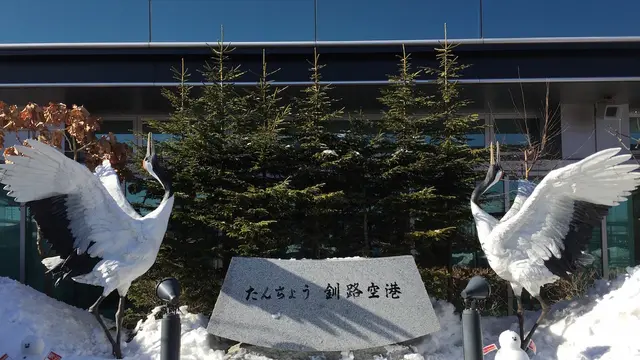 魅惑の知床流氷ツアー