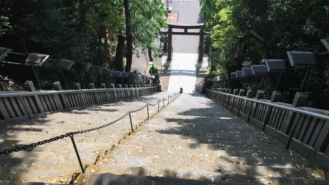 愛宕神社に行って出世しましょう!ついでに前祝いも。