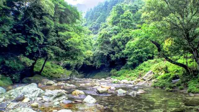 四国のまん中、自然と寺とカフェ。
