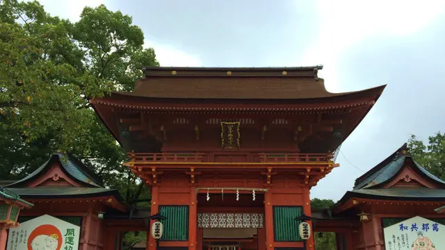 富士山本宮浅間大社にお参り♪富士宮グルメもいただきまーす！