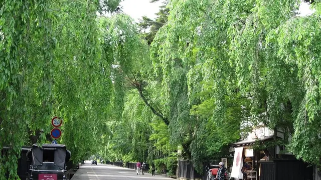 日帰り輪行の旅【角館~阿仁合】行程約65km・標高差約450m ご褒美は馬肉シチュー&田んぼアート