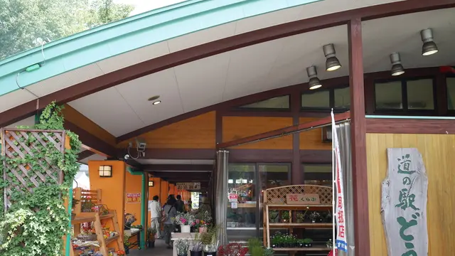 道の駅 どうし周辺で自然満喫プラン♪
