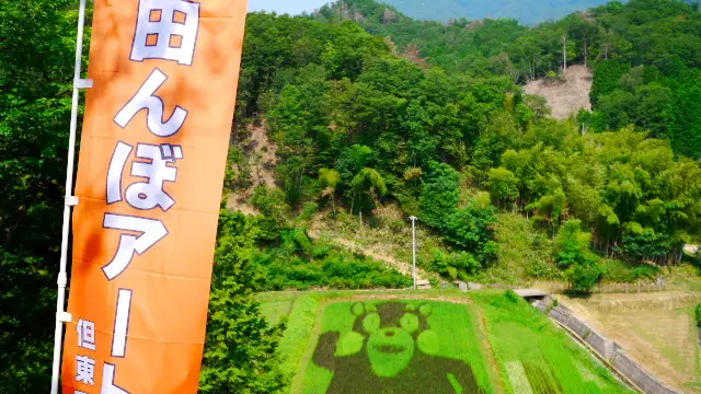 夏の但東町・田んぼアートとひまわり畑を巡る旅