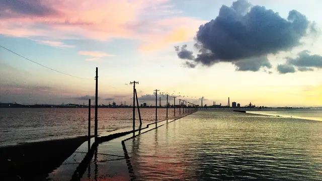 日帰り:木更津ゆったり(木更津WildBeach~江川海岸)バスと散歩