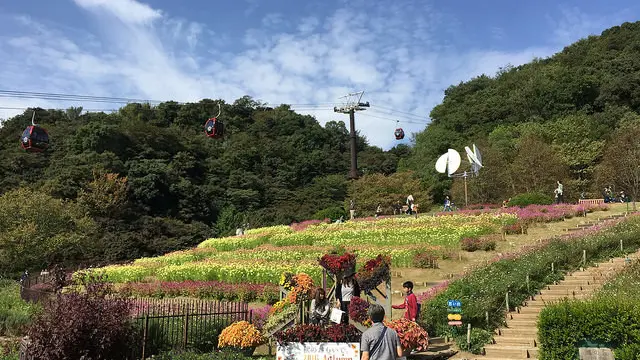 神戸の北をピクニック♪
