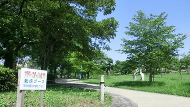 城北公園の花菖蒲を見に行こう