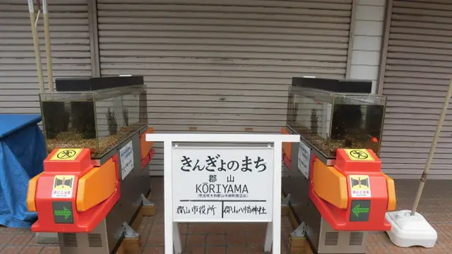 やりすぎ～！？(笑)がおもしろい奈良のまちおこし