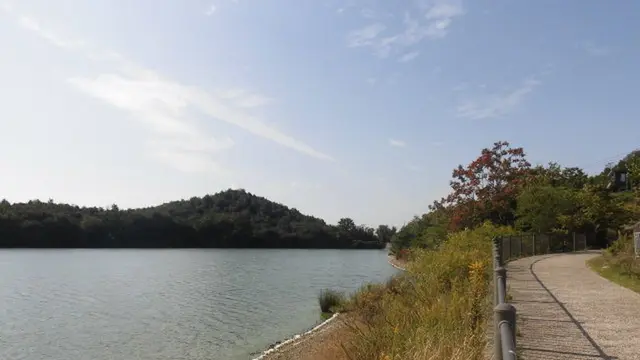 志方牛!?靴下のまち・加古川の平荘湖・日岡山