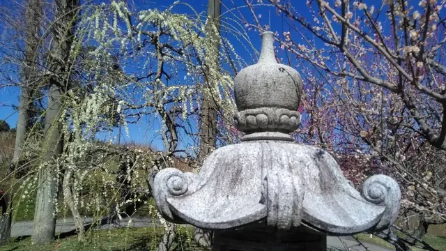 花咲かタイムズ【三重県・津市】