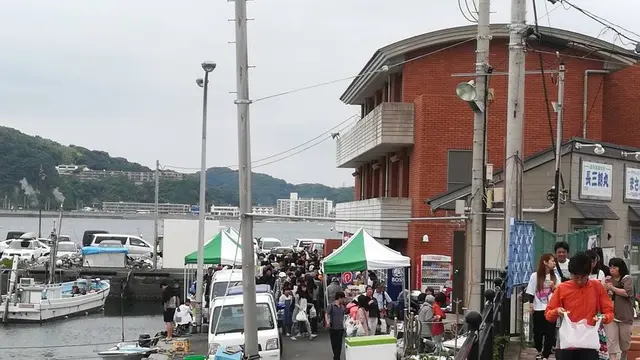 【王様のブランチ】秋の鎌倉＆葉山日帰りの旅