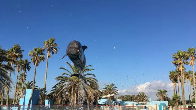 秘密の癒しスポット・油壺