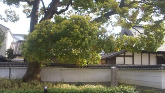 鴻池新田と徳庵