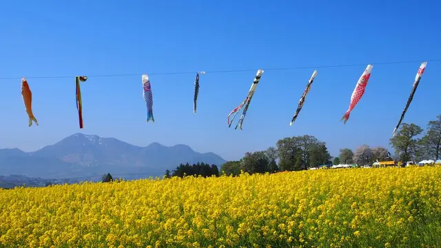 菜の花まつりと野沢温泉を満喫、充実の1泊2日
