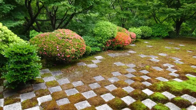 京都、東福寺PART2 心癒される苔の庭へ…!
