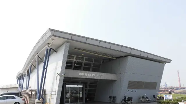 浜の宮公園でプール!海洋文化センターで海を学び、加古川牛かつめしを味わう