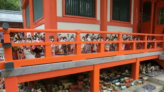 淡嶋神社を散策。松の木を眺めながら