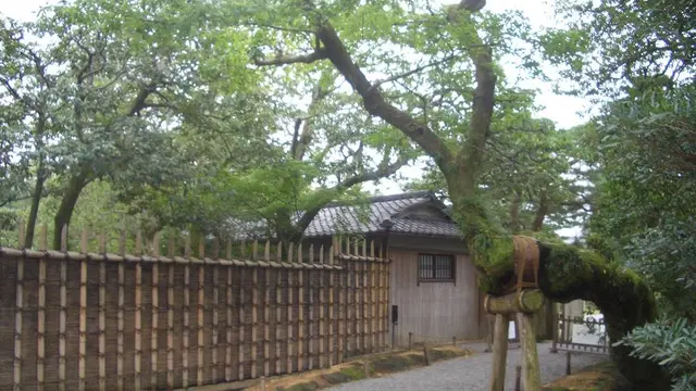 かぐや姫!?鈴虫の鳴く寺院で聞く説法
