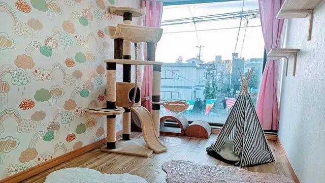 猫専用個室ペットホテル『ねこべや羽田空港店』