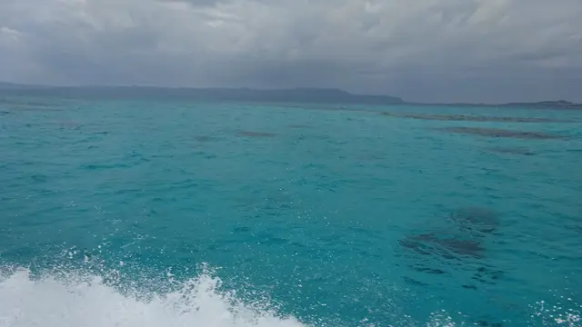 初めての八重山諸島~西表島・由布島・竹富島・小浜島編~