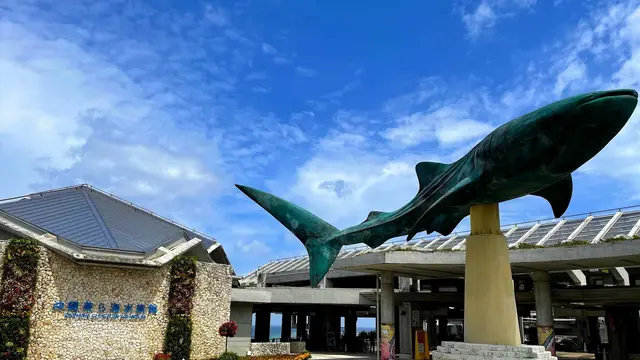 沖縄🌺水族館！北部の美ら海・南部のかりゆしを比較してみました🐬（周辺グルメ情報あり！）