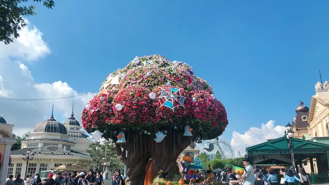 ソウル🇰🇷エバーランドもカフェも欲張る韓国旅行(2泊3日)