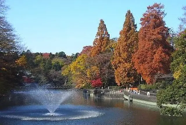 紅葉を満喫♪武蔵野散歩