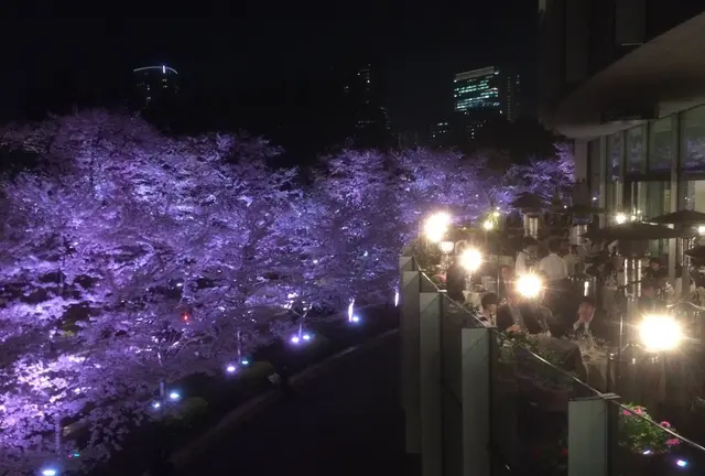 イタリアでも出来ない最高のピッツァお花見！