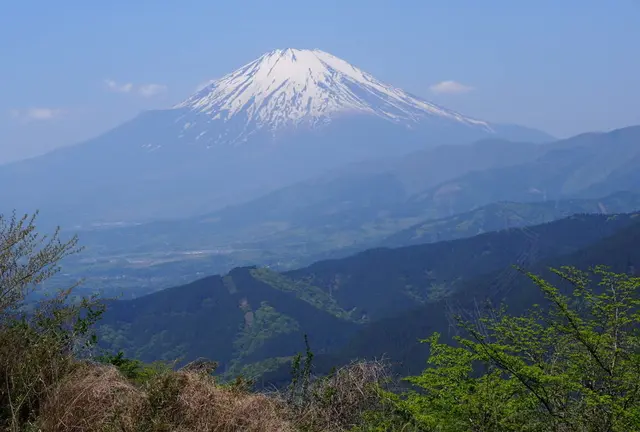 ［神奈川県山北］ 大野山登山で日頃の運動不足解消でも♪